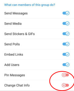 disable pin messages and change chat info